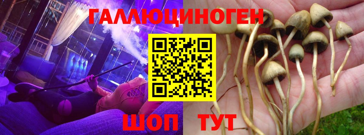 Псилоцибиновые грибы прущие грибы Нерюнгри